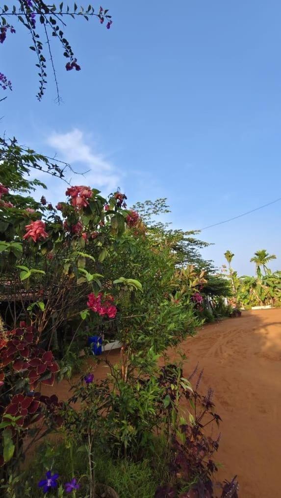 Niyati Home Stay Gokarna  Dış mekan fotoğraf